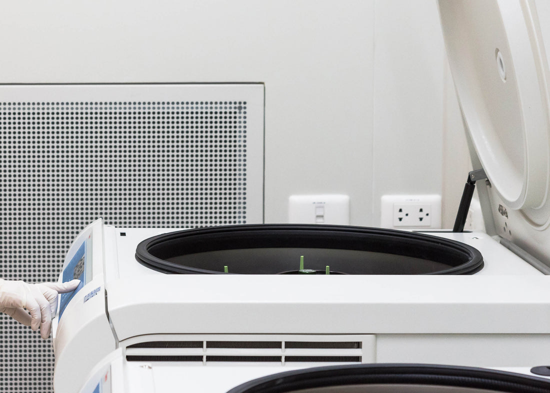 Air Quality and Productivity: How Clean Air Boosts Performance