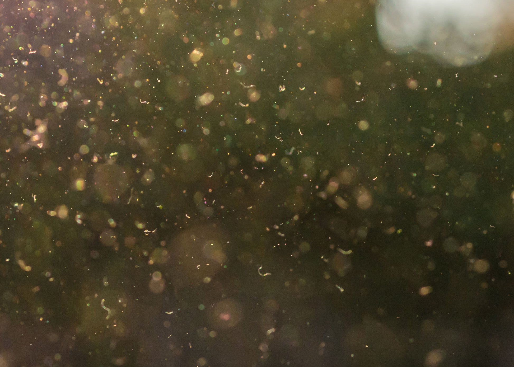 photo showing dust particles suspended in the air which can be attracted by Protecnet H