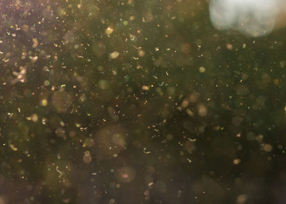 photo showing dust particles suspended in the air which can be attracted by Protecnet H